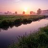 Mistige zonsopgang in de moerassen van Sint-Omaars van Sam Mannaerts