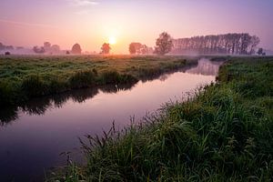 Nebliger Sonnenaufgang in den Sümpfen von Saint-Omer