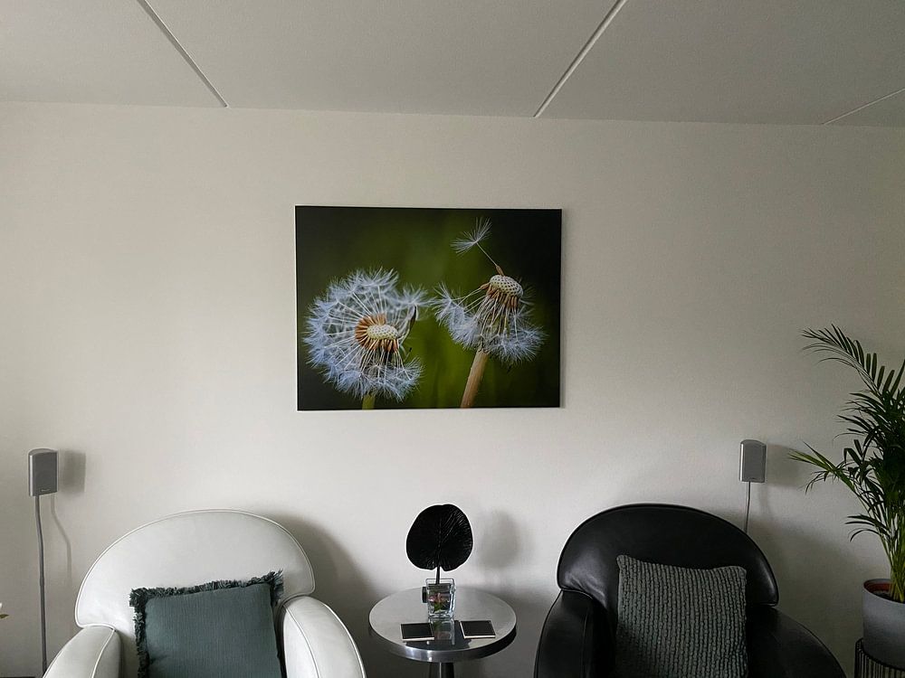 Löwenzahn  von Brigitte Blaauw 