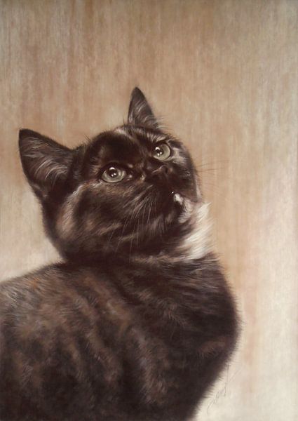 To All The little Ones by Paula Collewijn