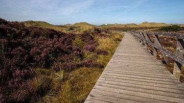 Bordwandeling door de heide op Amrum van Alexander Wolff