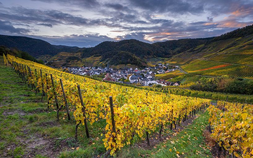 Herbst an der Ahr, Rheinland-Pfalz, Deutschland von Alexander Ludwig