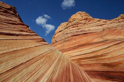 Rotsformaties in de North Coyote Buttes, deel van het Vermilion Cliffs National Monument.