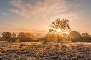 Brunssummerheide par une froide matinée d'automne