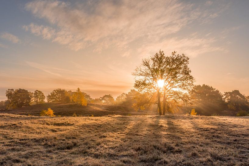 Brunssummerheide op een koude herfstochtend van John van de Gazelle fotografie