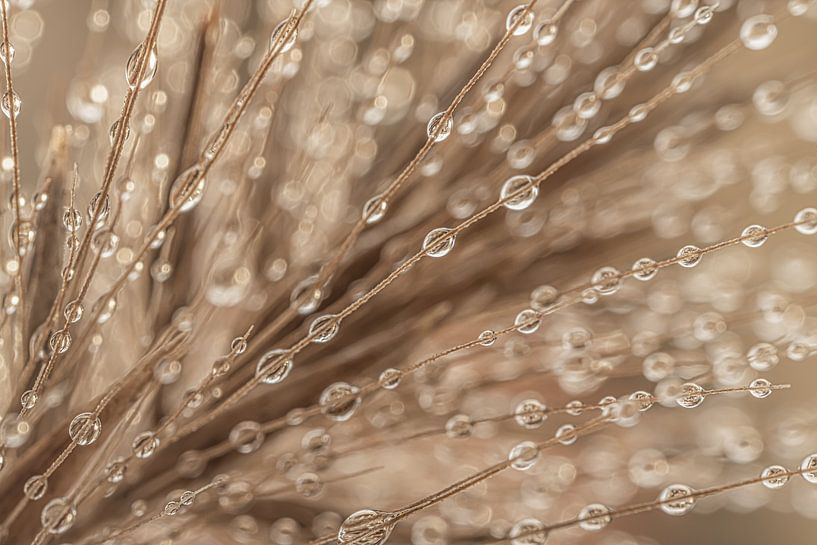 Abstraction in beige and taupe: Lines with droplets by Marjolijn van den Berg