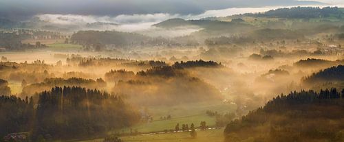 Misty morning in Rudawy hills, Poland