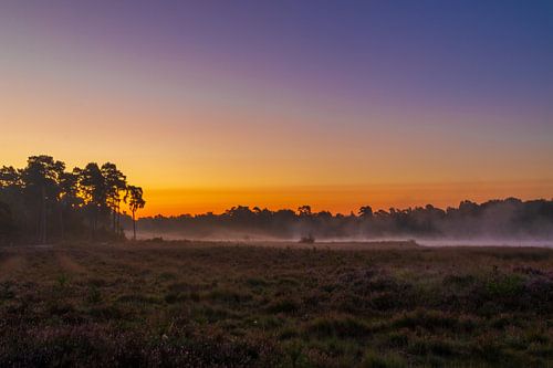 Jeu de couleurs sur le Kampina