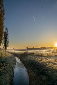 Foggy morning by Willian Goedhart