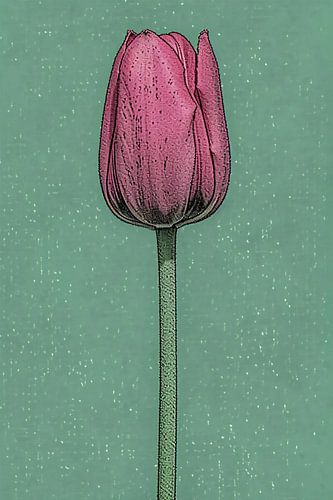 Prachtige pop-art schilderij van een tulp