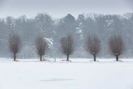 Die Winterlandschaft von Achterhoek von Bart Harmsen