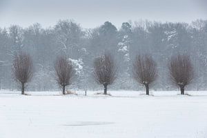 Achterhoeks winter landschap