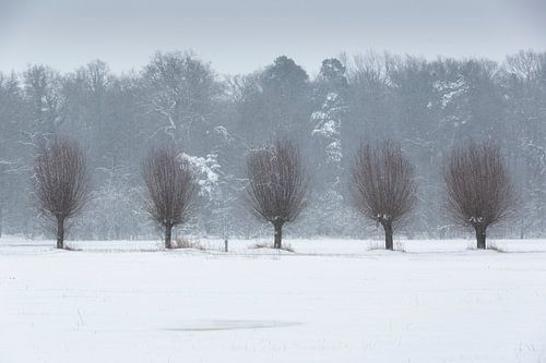 Le paysage hivernal d'Achterhoek sur Bart Harmsen