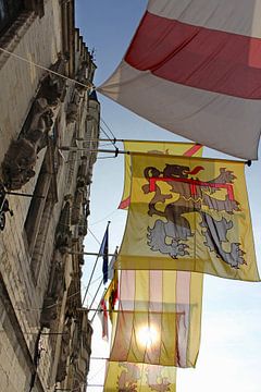 Kleurrijke vlaggen, stadhuis van Dendermonde, België van Imladris Images