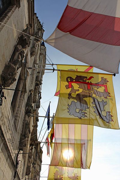 Colourful Flags, Dendermonde Town Hall, Belgium by Imladris Images