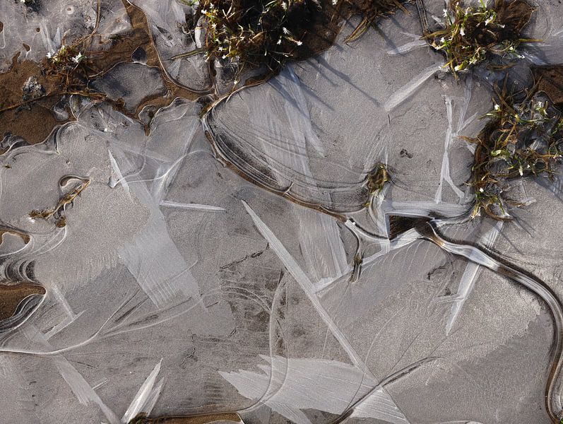 ice art by Marieke Funke