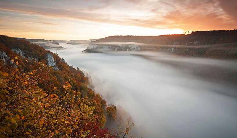 Mistrivier van de Donau van Jiri Viehmann