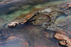 The Stony Snake