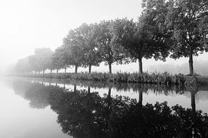 Le long du canal avec la brume en noir et blanc sur Sjoerd van der Wal Photographie