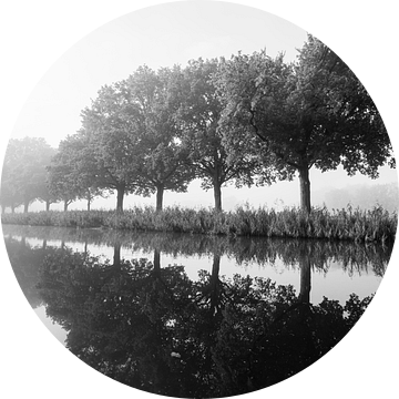 Langs het kanaal met mist in zwart-wit van Sjoerd van der Wal Fotografie