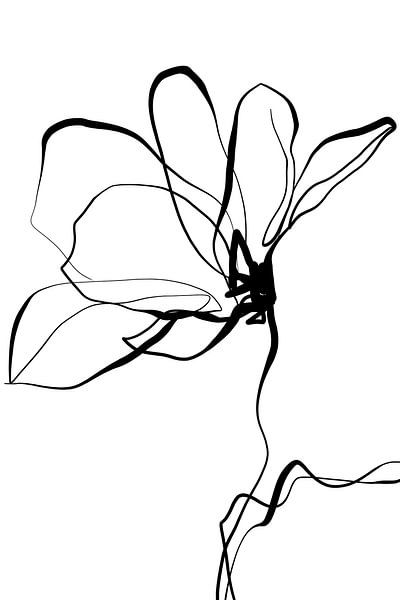 Magnolia 2 by Cats & Dotz