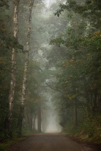 Der Weg der Erinnerung von Roelie Steinmann