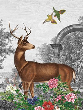 Deer in Summer Forest sur Marja van den Hurk