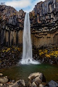 Isländischer Wasserfall von leon brouwer