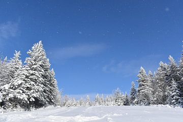 Der Erholungsplatz im Winter von Claude Laprise