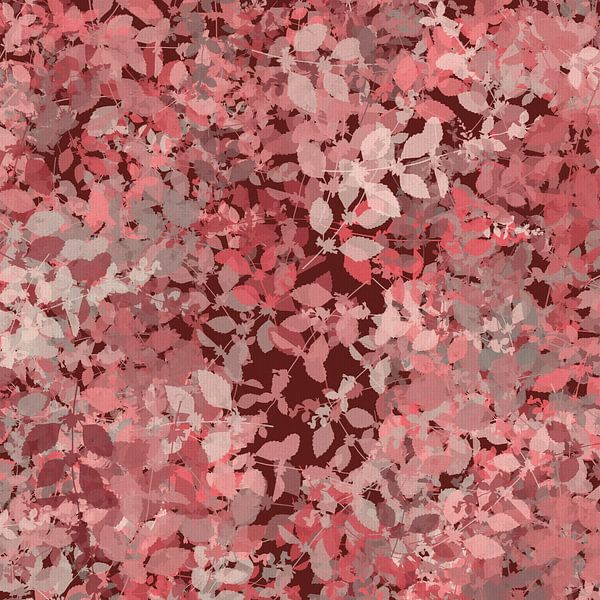 Leaves in warm pink. Autumnal abstract botanical by Dina Dankers