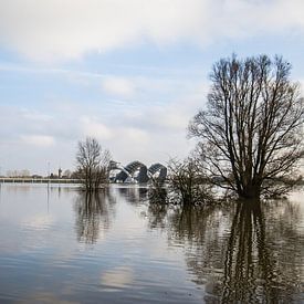 Hochwasser im Rhein bei Driel. von Rijk van de Kaa