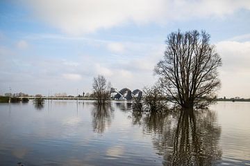 Hoog water in de Rijn bij Driel. van Rijk van de Kaa