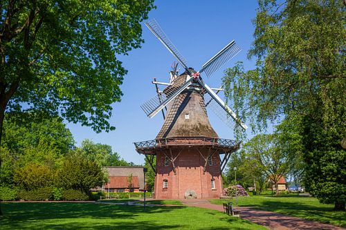 Windmühle Bad Zwischenahn von Torsten Krüger