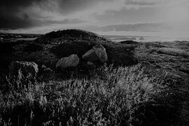 raue Natur bei Sagres von Karel Ham
