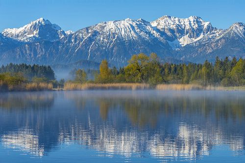 Ochtendhumeur aan de Hopfensee