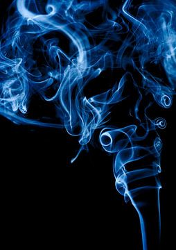 Blauwe rook van David Dirkx