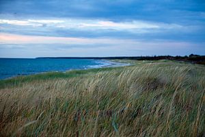 Ostsee - Düne und Strand bei Ahrenshoop / Darß zum Sonnenuntergang