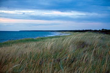 Oostzee - duin en strand bij Ahrenshoop / Darß bij zonsondergang van t.ART