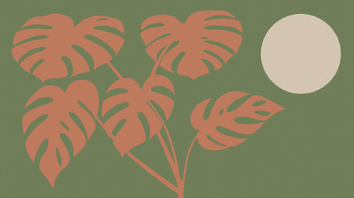 Monstera in het avondlicht van de Zen-zon