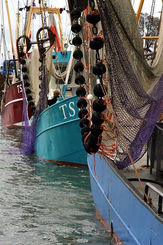 Vissersboten in de haven van Terschelling - 1