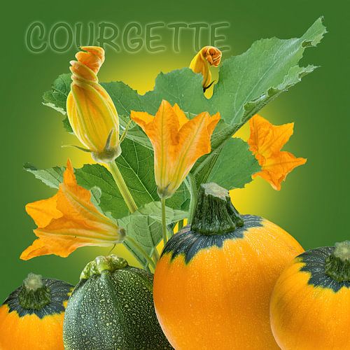 Courgette