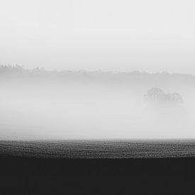 zwart-wit foto van een boom in de mist