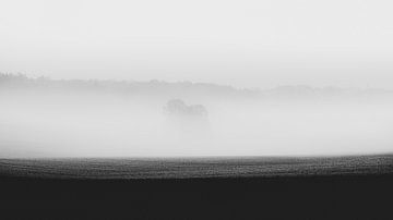 zwart-wit foto van een boom in de mist van Thomas Heitz