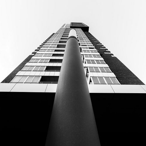 Montevideo Rotterdam sur Rob van der Teen