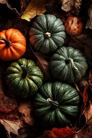 Kürbisvielfalt Herbst von Poster Art Shop