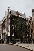 Op de grachten in Amsterdam