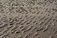 Rimpelingen in nat zand van Kristof Lauwers thumbnail
