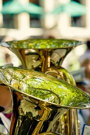 Two tuba-'s under a tree
