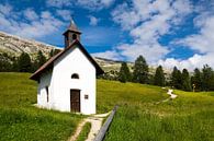 Tyrolean alpine pasture  by Reiner Würz / RWFotoArt thumbnail