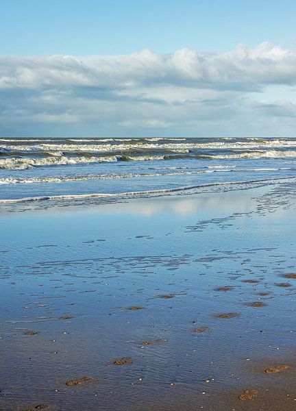 Der Strand an der holländischen Küste von Discover Dutch Nature